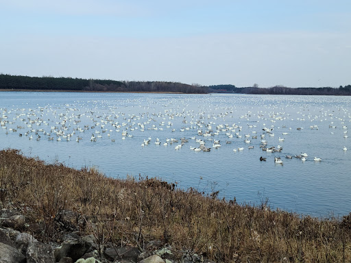 Park of the Beaudet Reservoir - Thumbnail