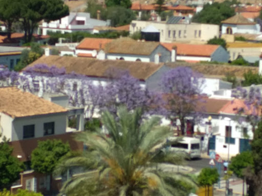 Comunitario Park - Thumbnail