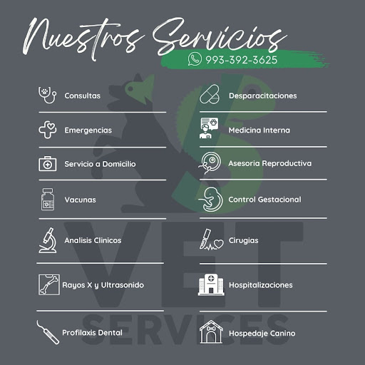 Vet services - Visual