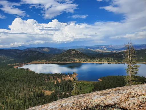 Castle Mountain Recreation Wellington Lake - Thumbnail