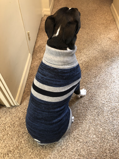 One Haute Dog - Thumbnail