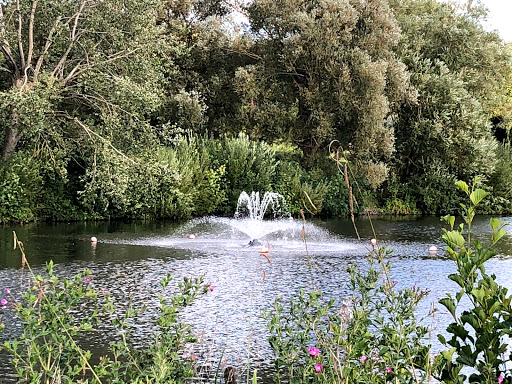 Fairlands Valley Splash Park - Thumbnail