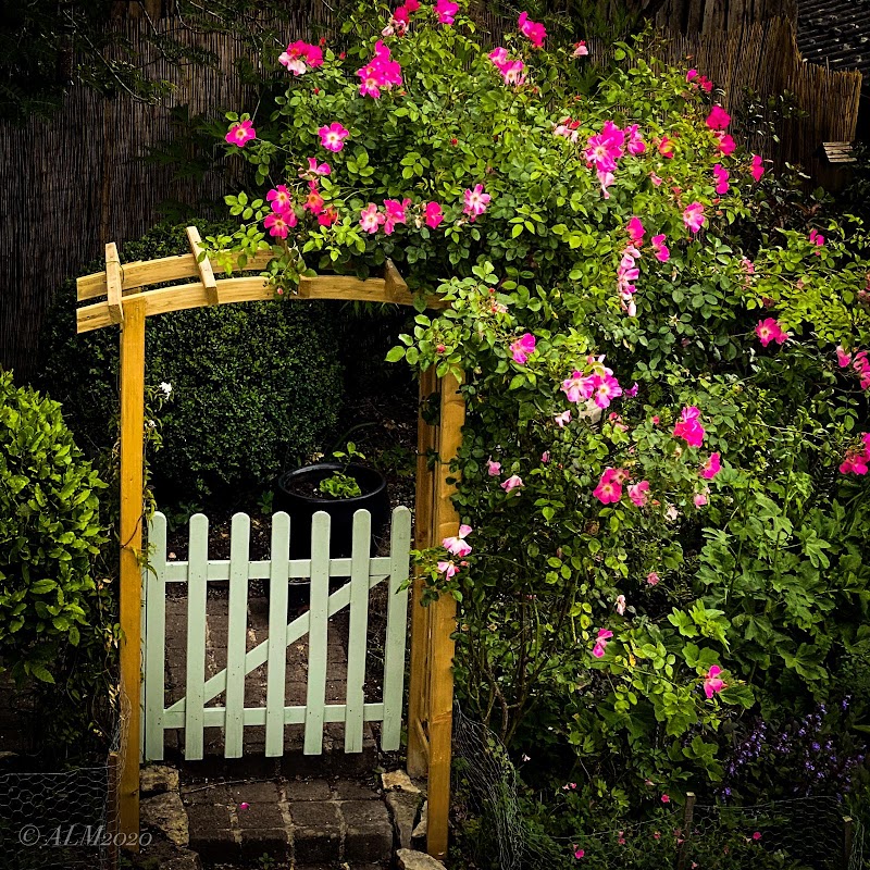 Midayo Landscapes (Garden Designer) photo 2