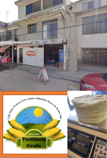 Tortilleria Ovalle - Thumbnail
