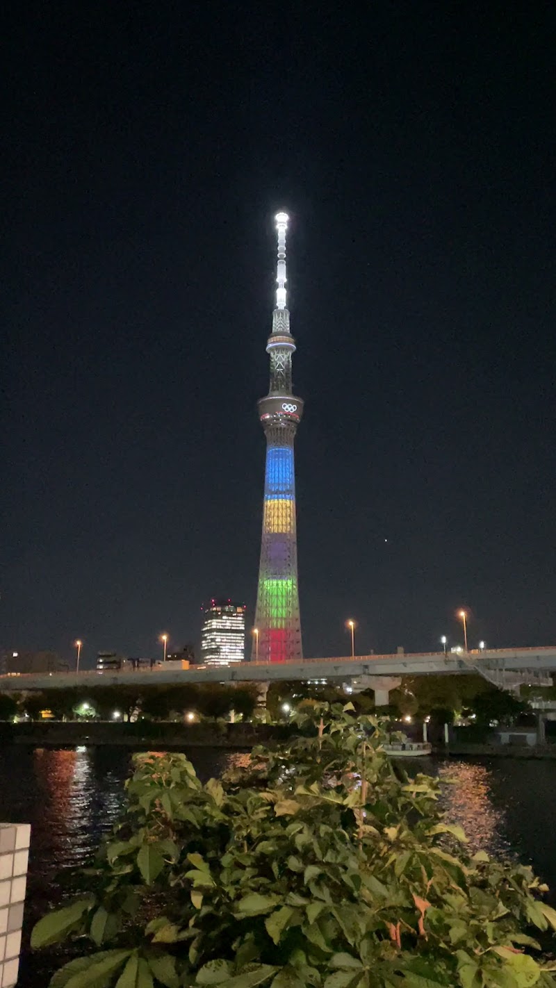 The Asakusa Cobbler(ジ・アサクサ コブラー)(浅草コブラー)