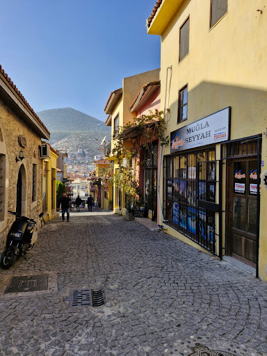 Muğla Seyyah Turizm Seyahat Acentesi