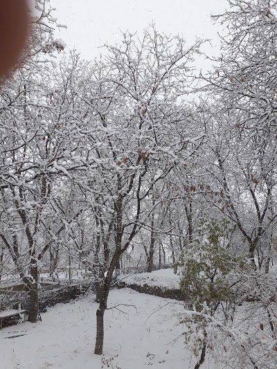 Photos of بوستان گلبرگ