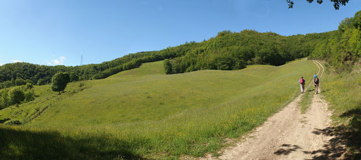 Le Fosse - Visual