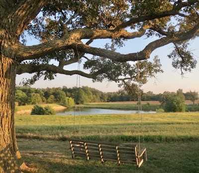 MULBERRY POND