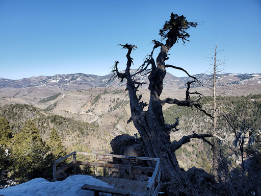 Jardine Juniper Trail Head