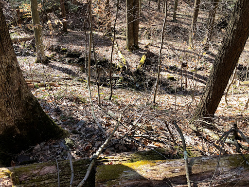 Darlington Trail - Thumbnail
