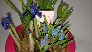 Photo n°64 de Fleuriste ioli Fleurs Maître Artisan Limeil-Brévannes, Valenton, Uber eats, Interflora, Boissy-Saint-Léger à Limeil-Brévannes (Fleuriste grossiste)