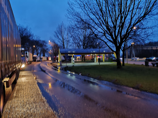 Vundelaar - Thumbnail