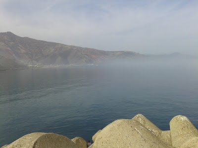 Photos of Port El Jebeha