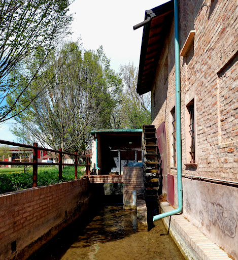 Riserva naturale Naviglio di Melotta Gallery - Italy