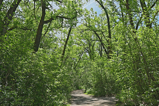 Pavan Park - Visual