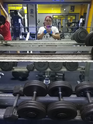 BESTIA´S GYM - Thumbnail