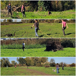 Photo n°17 de Cercle Canin De L'entre 2 Mers à Tabanac (Centre de formation)