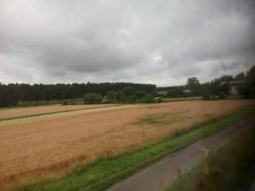 FC Strullendorf - Visual