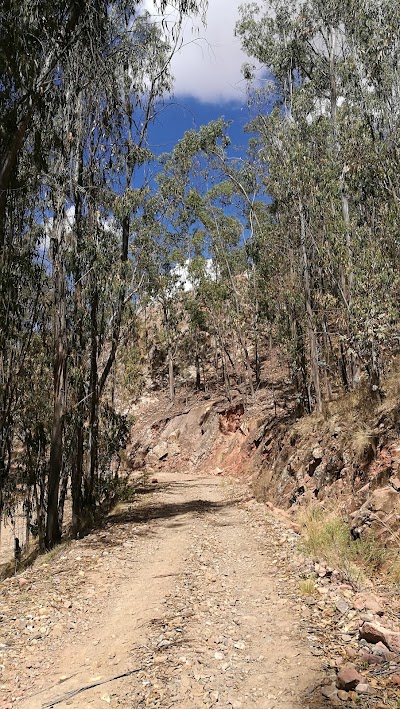 Photos of Cerro Sica Sica