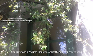 Photo n°4 de Armelle Daigremont - Conseillère certifiée en Aromathérapie / Energétique & vibratoire - Caen-Carpiquet à Carpiquet (Centre de bien-être)