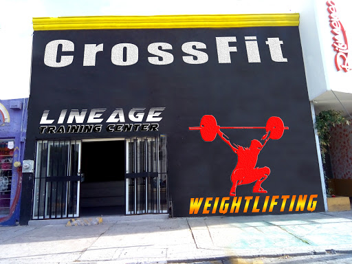 Lineage CrossFit Celaya - Thumbnail