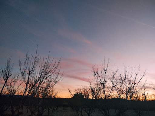 Cerro del Haro - Thumbnail