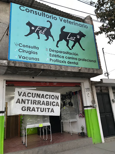 Consultorio Veterinario Fel Luz