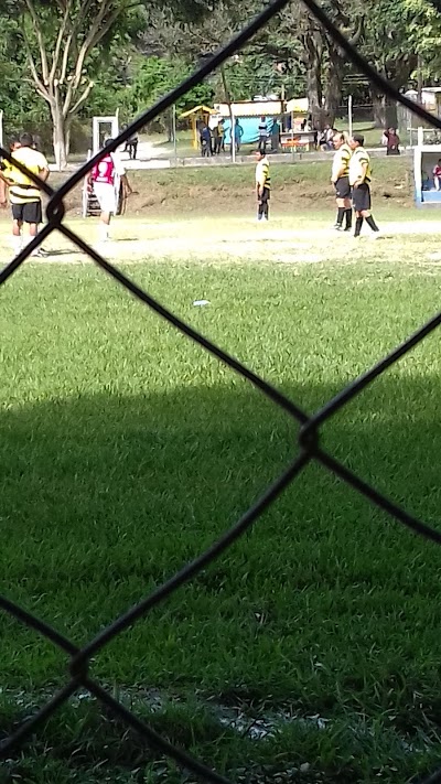 stadium