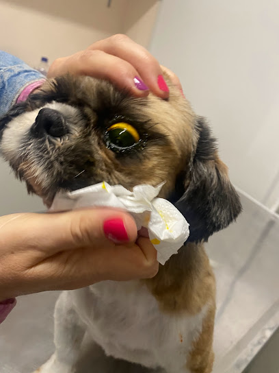 Centro Clínico Veterinário- Veterinária Tanara