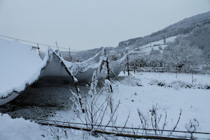 Photo n°20 de La Ferme d'à Coté à Le Pescher (Magasin de volailles)