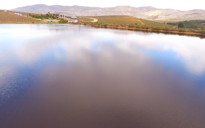 Photos of Creation Wines