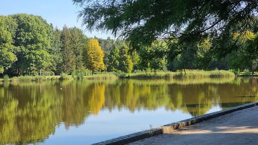 Gorechtpark - Visual