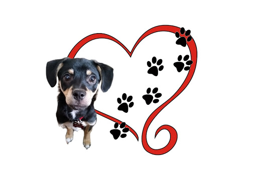 Danny's Paw Prints - Thumbnail
