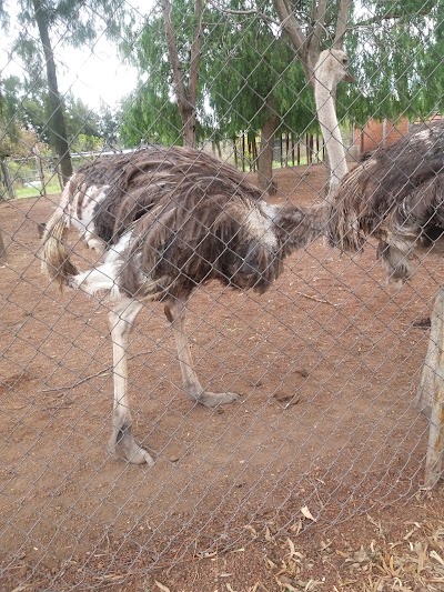 Photos of Parque Zool&oacute;gico Morole&oacute;n