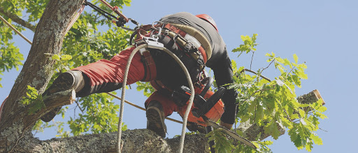 Photo de SoEko Outdoor à Radon (61250)