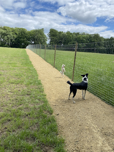 Paw Paddock - Moundsmere Gallery - United Kingdom