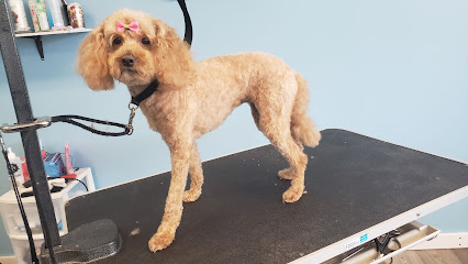 Fur the Love of Pets