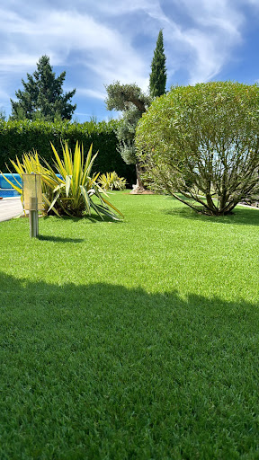 Photo de Olea Paysage