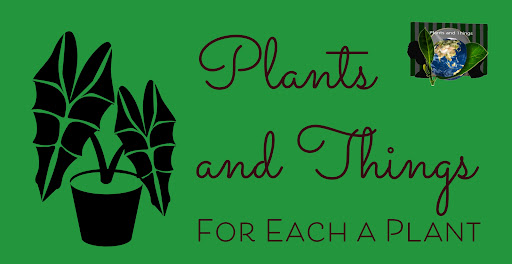 Plants and Things LLC - Thumbnail