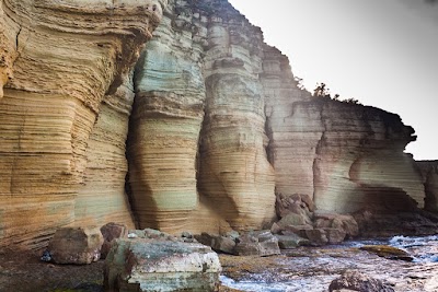 Photos of Carpenter Rock Trail Antigua