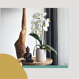 Photo n°6 de Patte d'Amande Formation et Bilan de compétences - Toulon à Le Pradet (Graphiste)