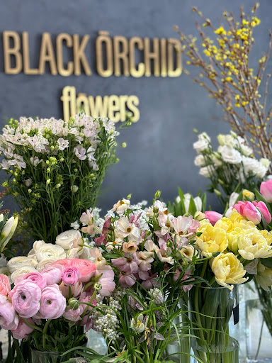 Black Orchid flowers - Thumbnail