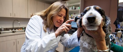 Photos of Carmel Valley Veterinary Hospital