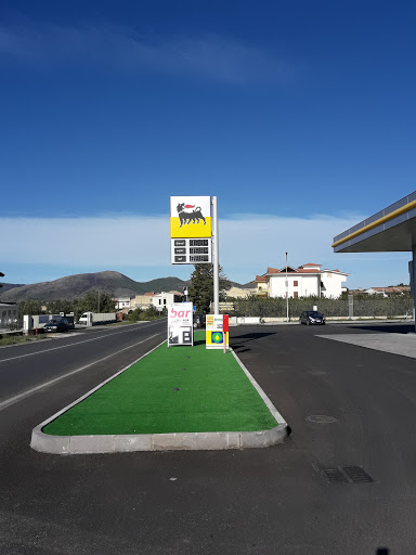 Shell Goldengas - Visual