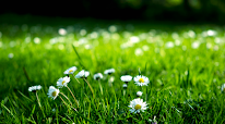 Mon Espace Nature (MEN) à Monnaie