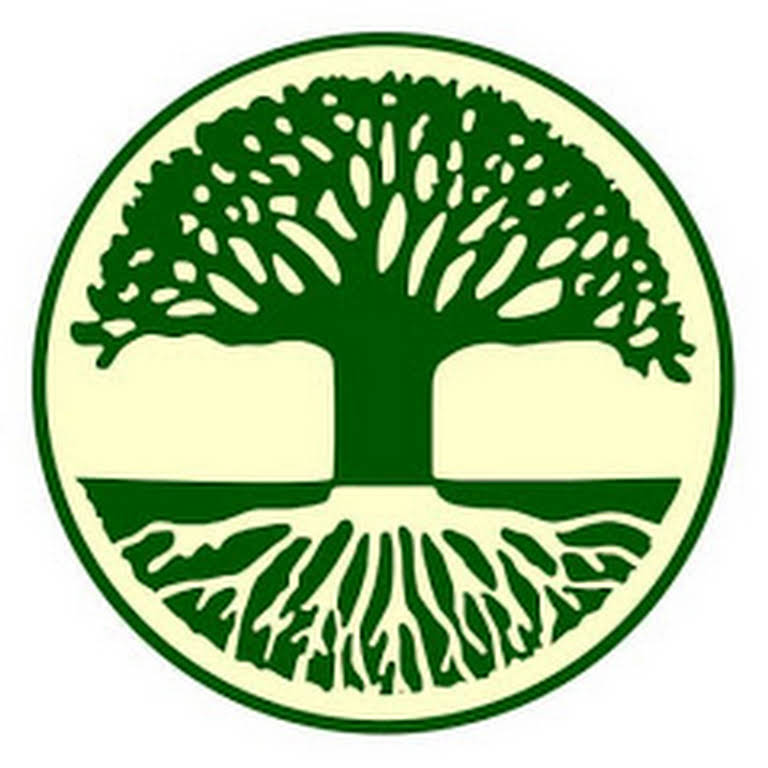 Brown Umbrella Agency Insurance Broker in Albuquerque