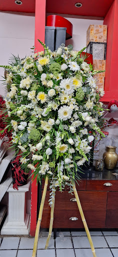 Floristas D' Lucy - Thumbnail