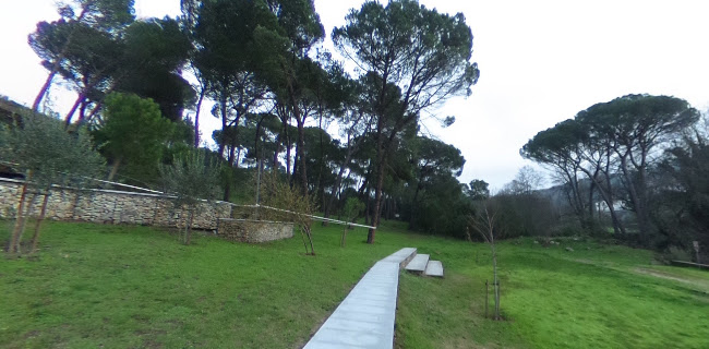 Termas de Alcafache - Spa e Termalismo