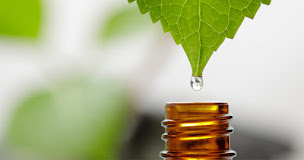 Photo n°2 de Corps et Âme naturopathie à Angoulême (Réflexologue)